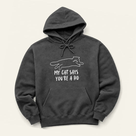 You're A Ho Hoodie in Dark Heather