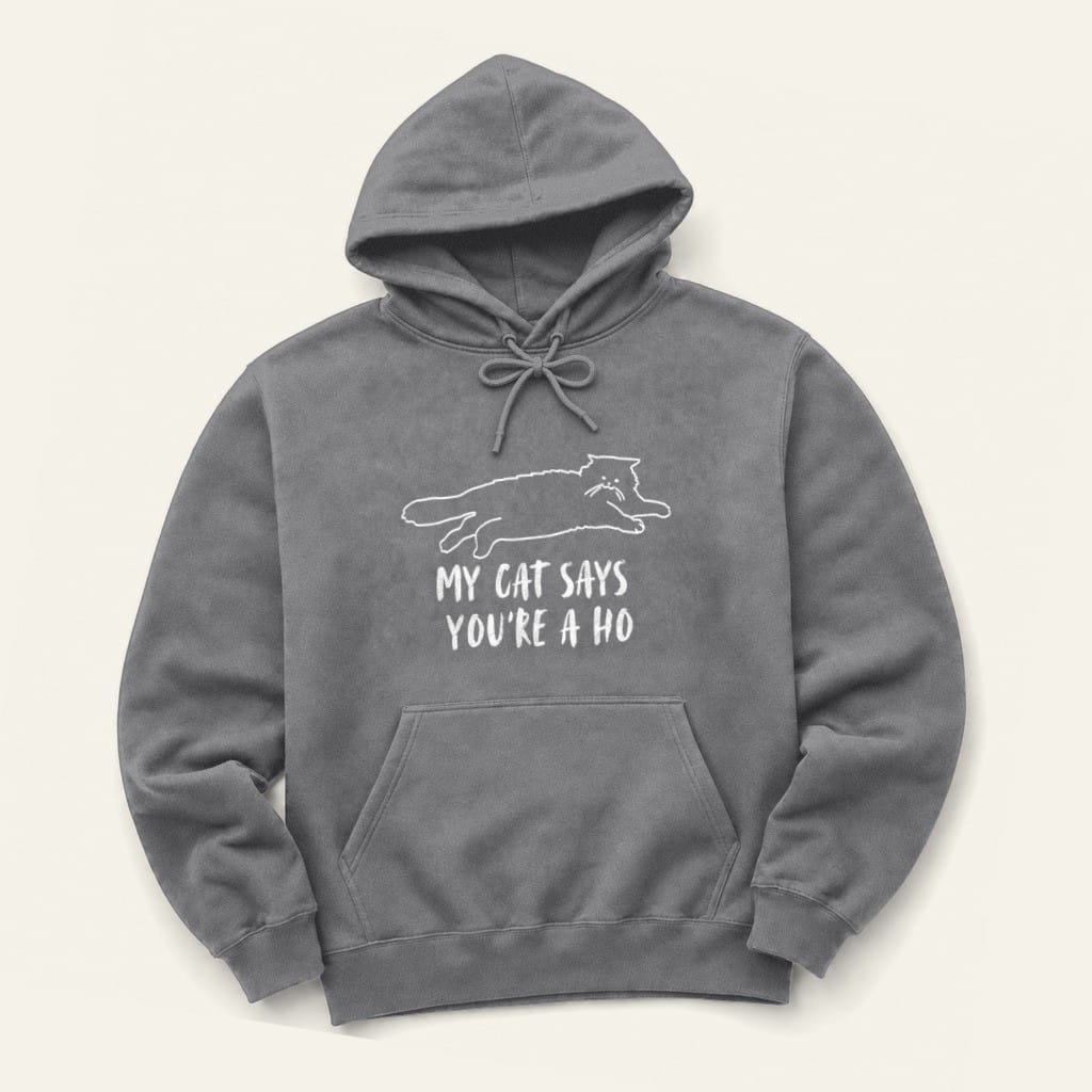 You're A Ho Hoodie in Graphite Heather