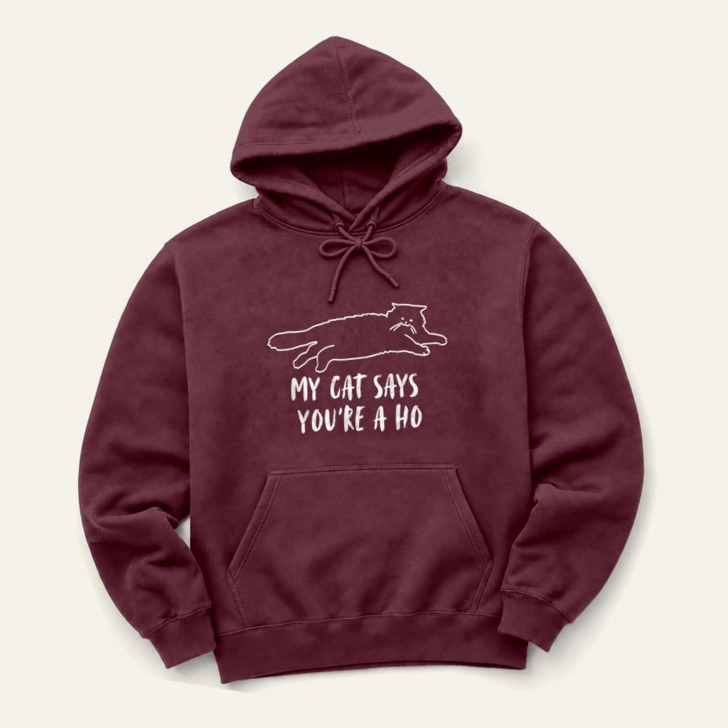 You're A Ho Hoodie in Maroon